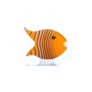 ST/ ANGEL FISH, MED, ppwt, orange